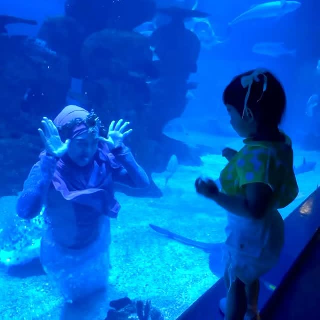 Post by riaricis1795