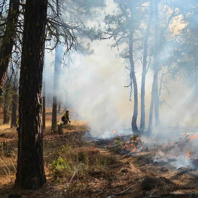 Post by firesciencenutrition