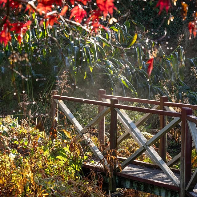 Post by wildsidegarden