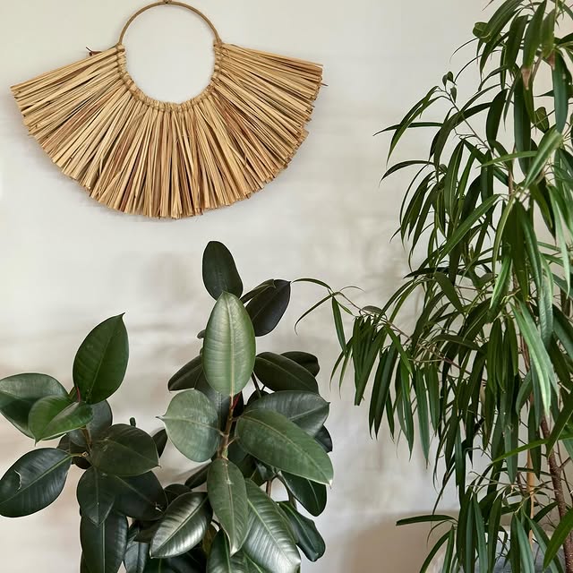 Post by gretacottage_gerringong