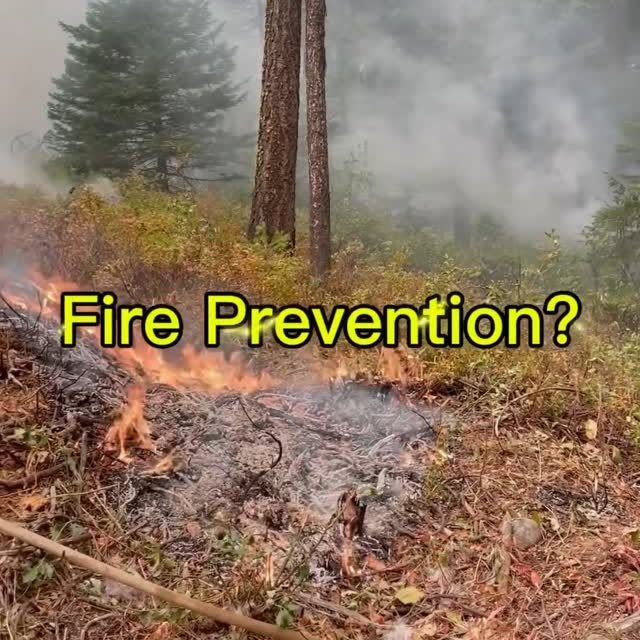 Post by thejosephpowell