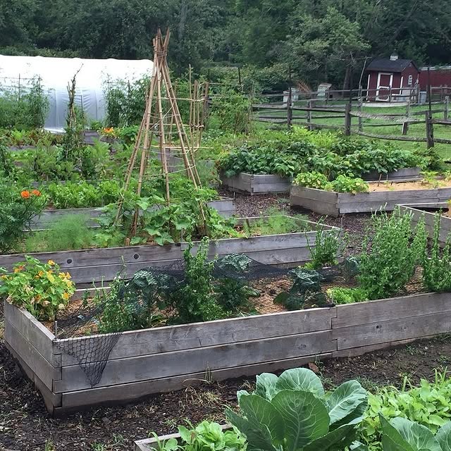 Post by natures_architects