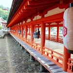 ⛩ Japan Life 365's profile picture