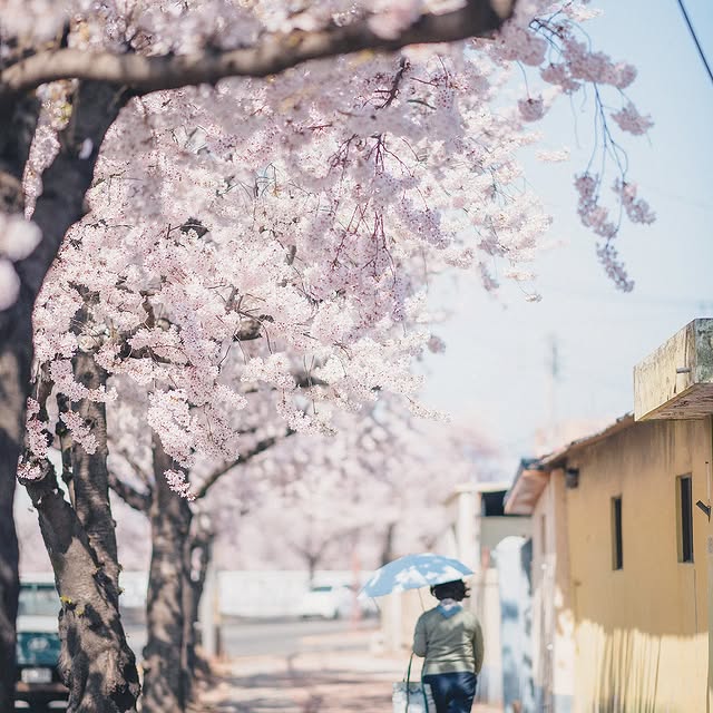 Post by summersnow_traveler