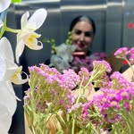 Bahar🍃's profile picture