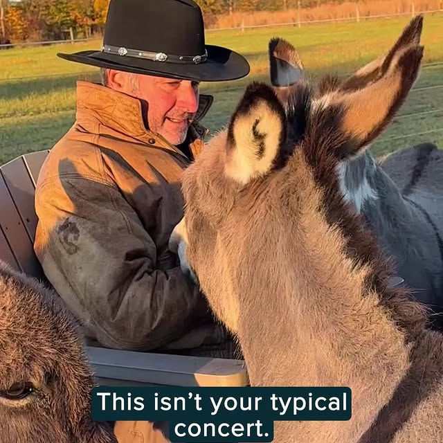 Post by humankindvideos