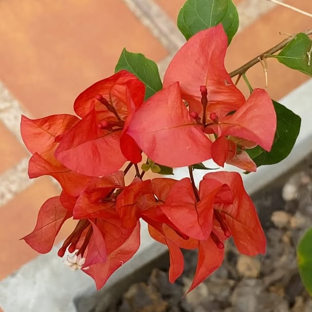 Post by spinel.aurora