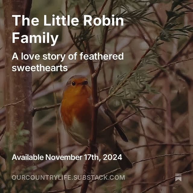 Post by our_country_life_photography