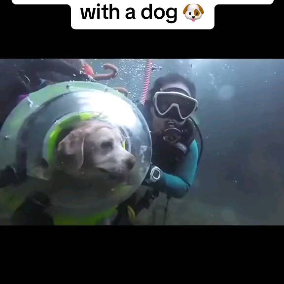 Post by scuba_diving_iglover