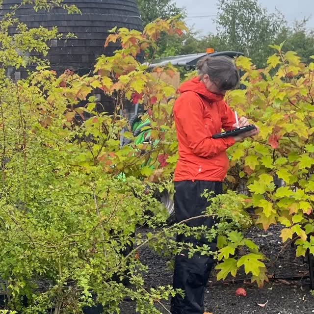 Post by harrisbuggstudio