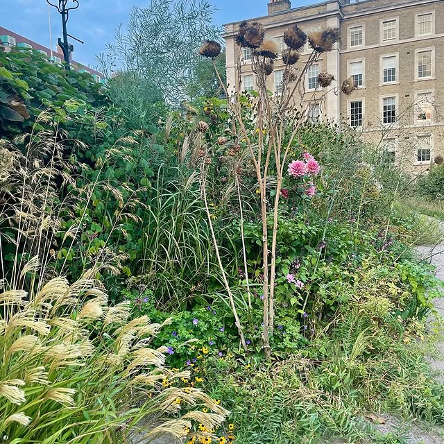 Post by ruth_willmott_associates