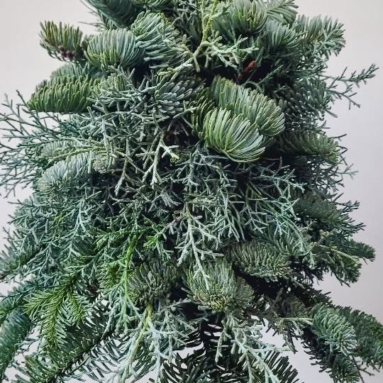 Post by randeckersfloristik