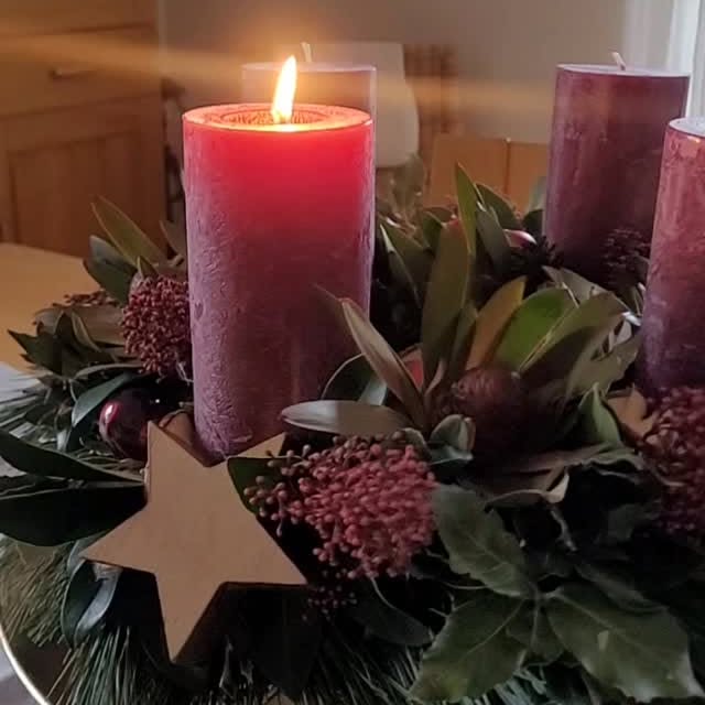 Post by gartenaugenblicke