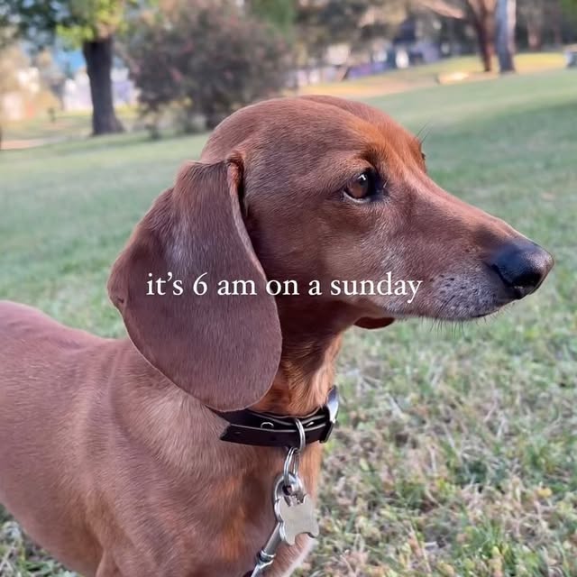 Post by _____yagmurr