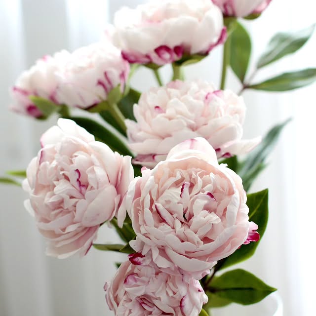 Post by marinagolovina21