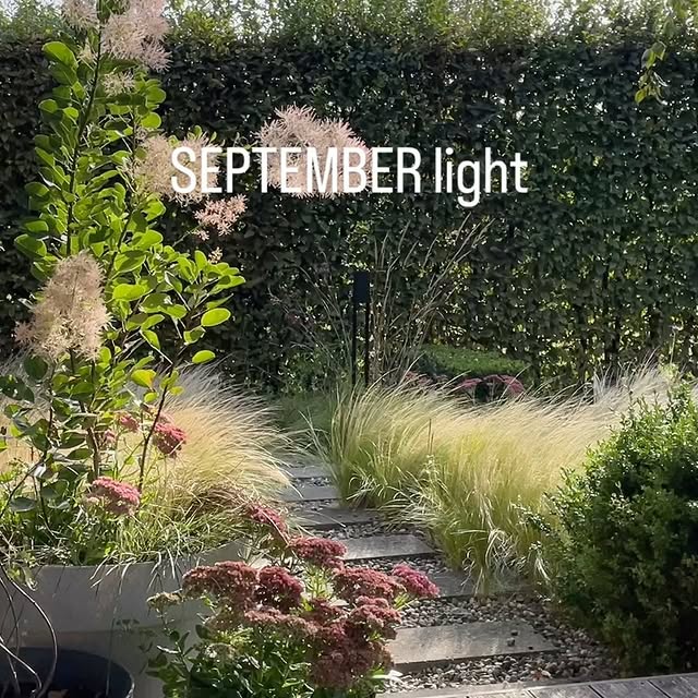 Post by gardenroom.kp