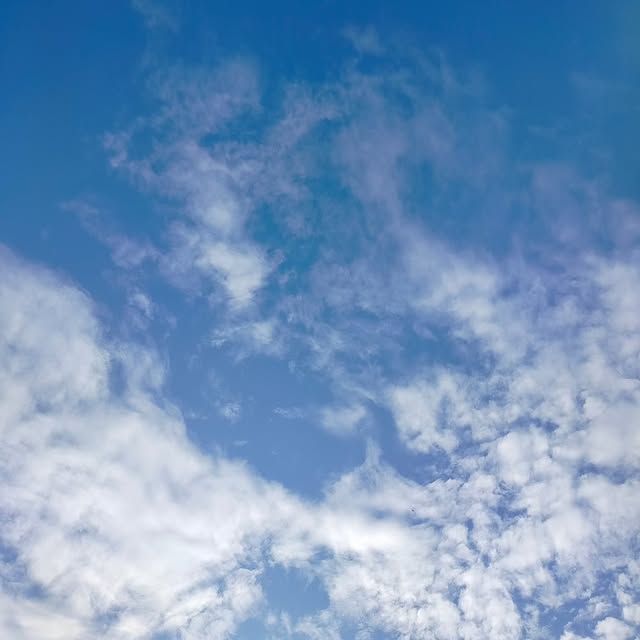 Post by triariawan95