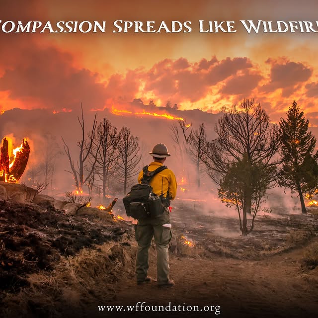 Post by wffoundation