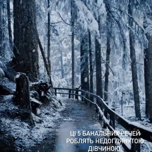 Post by lerra.offical