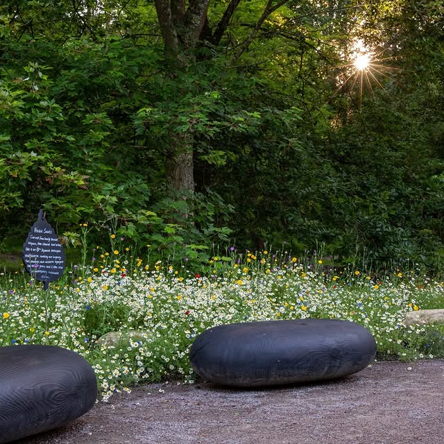 Post by joeperkinsdesign