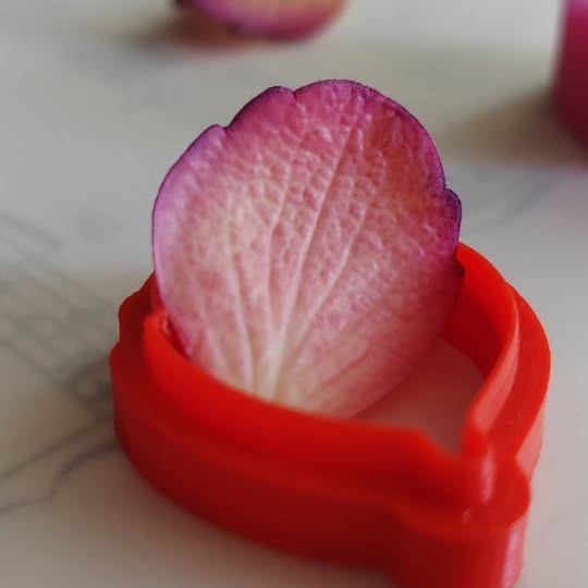 Post by bouquet_of_flowers_nm