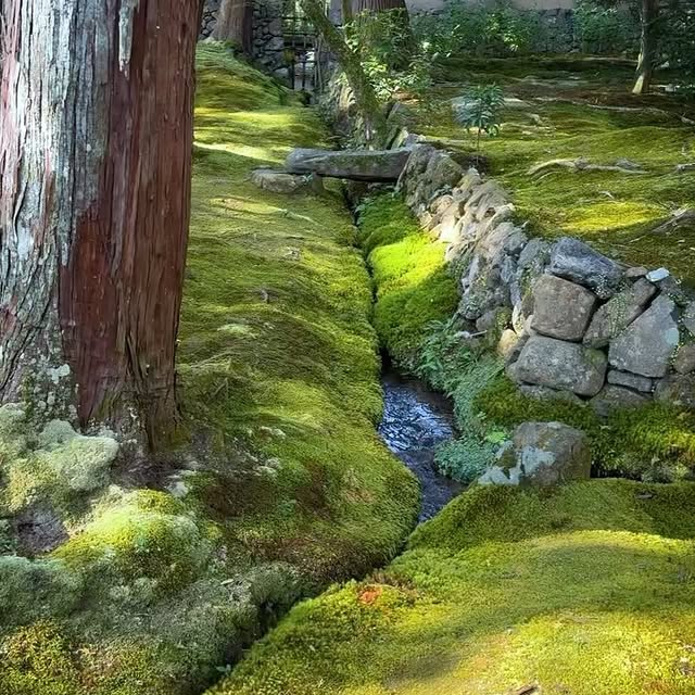 Post by themoosegarden