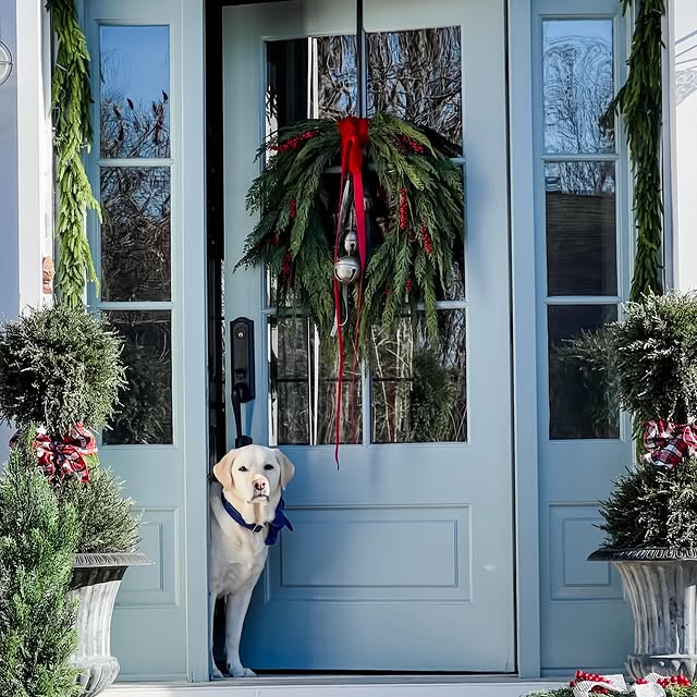 Post by homeonfernhill