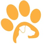 Labrador Rescue Australia's profile picture