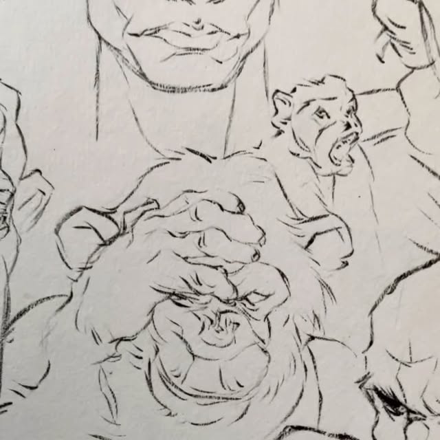 Post by curlydrawsss