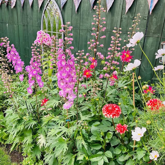 Post by bibbys_home_and_garden