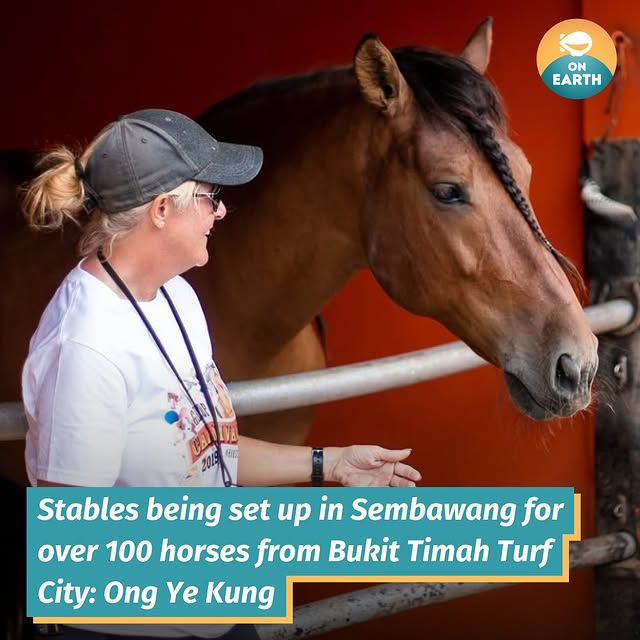 Post by mothershiponearth