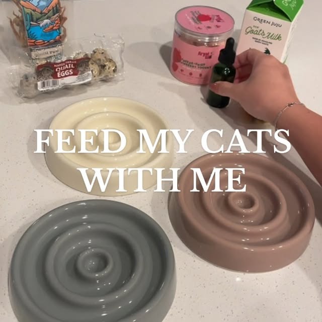 Post by simple.kitties