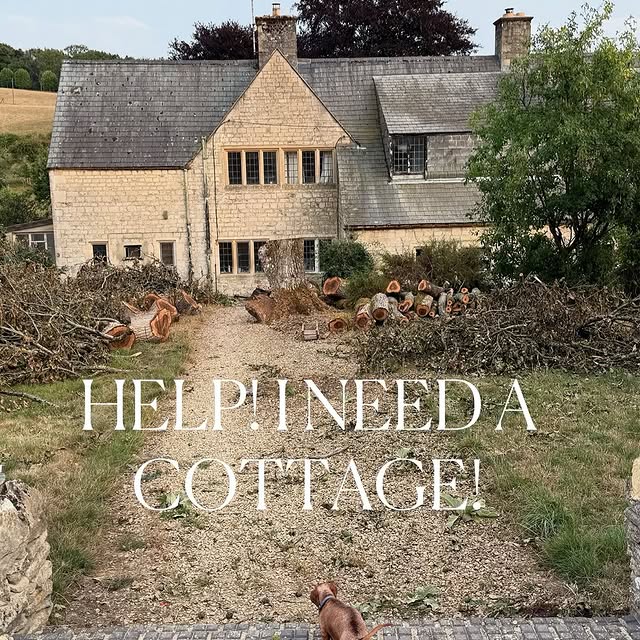 Post by sashawilkins_