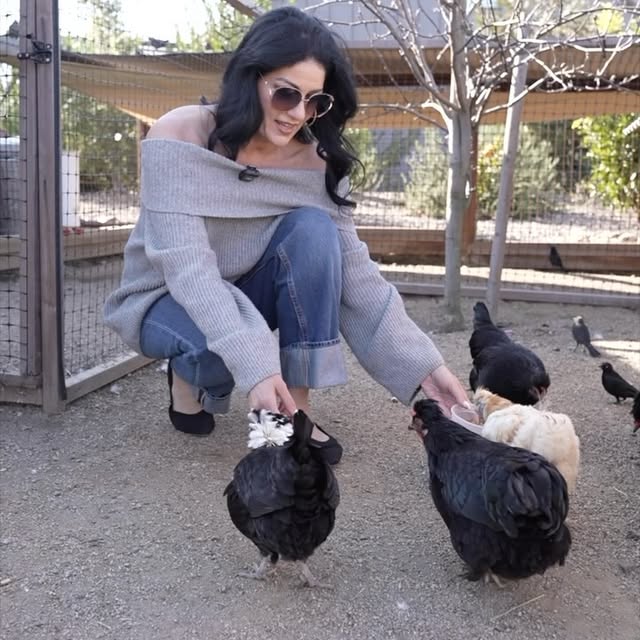 Post by andreaeppolito