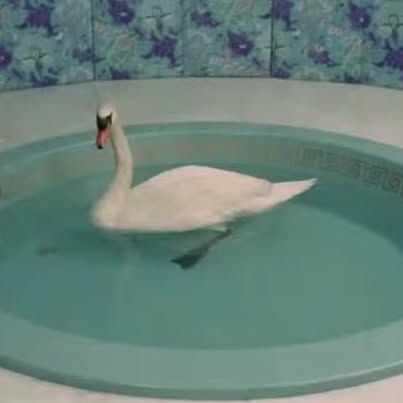 Post by another___kind