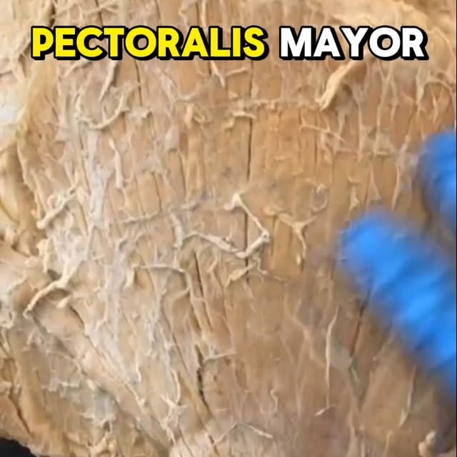 Post by giapratamamd