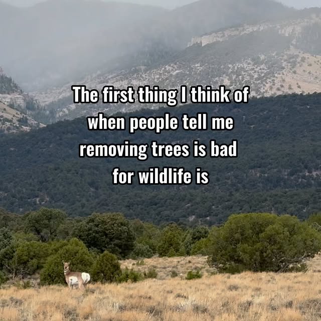 Post by nevada_fuels