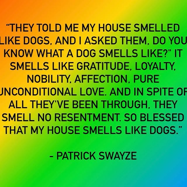 Post by labrador.rescue.australia