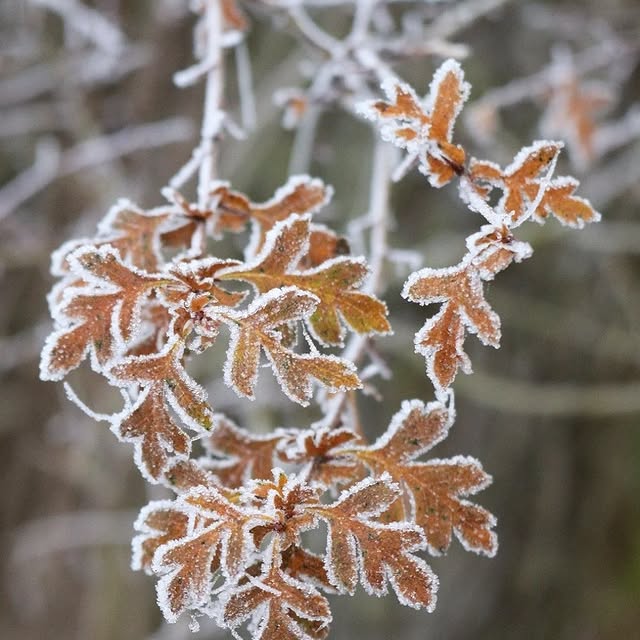 Post by herz.allerliebst