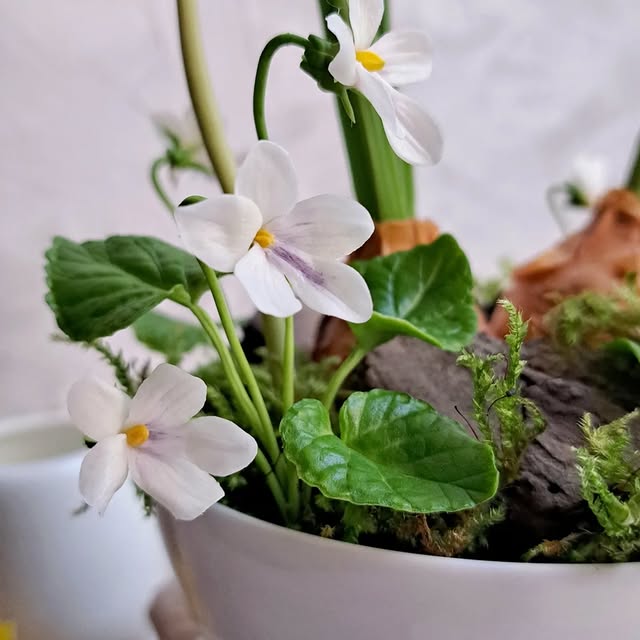 Post by artflower_by_anna