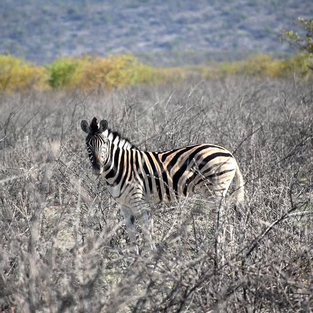 Post by ultimatetravelco