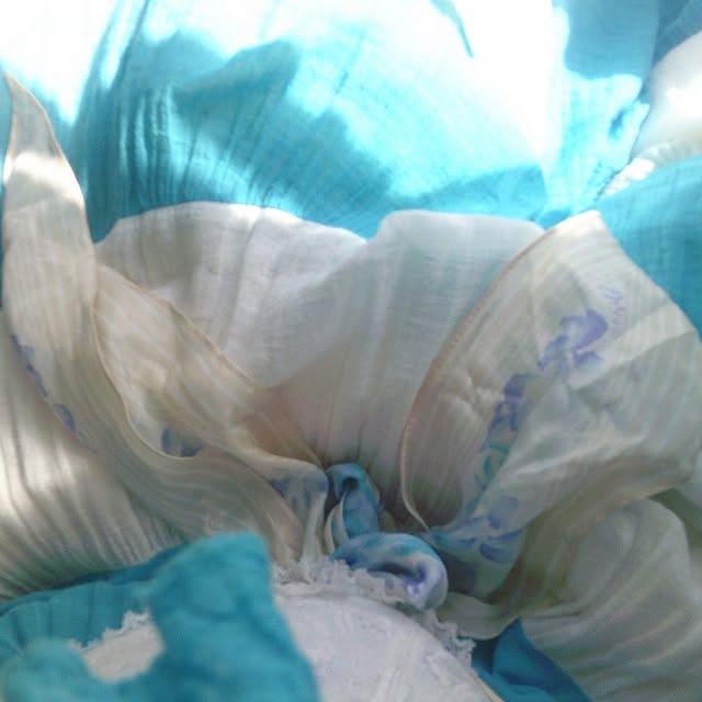 Post by felinefamine