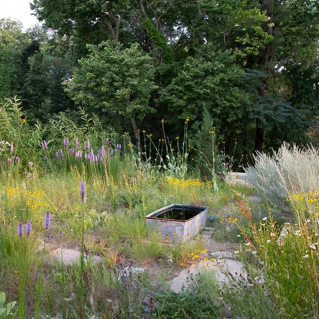 Post by kellydnorris