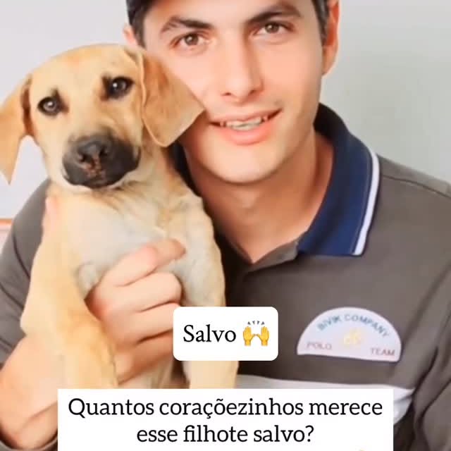 Post by desafiomeioambiente