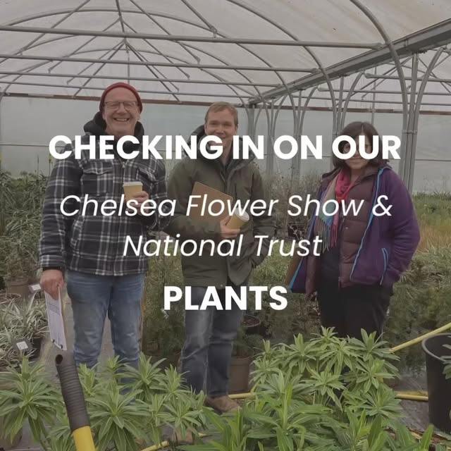 Post by joeperkinsdesign