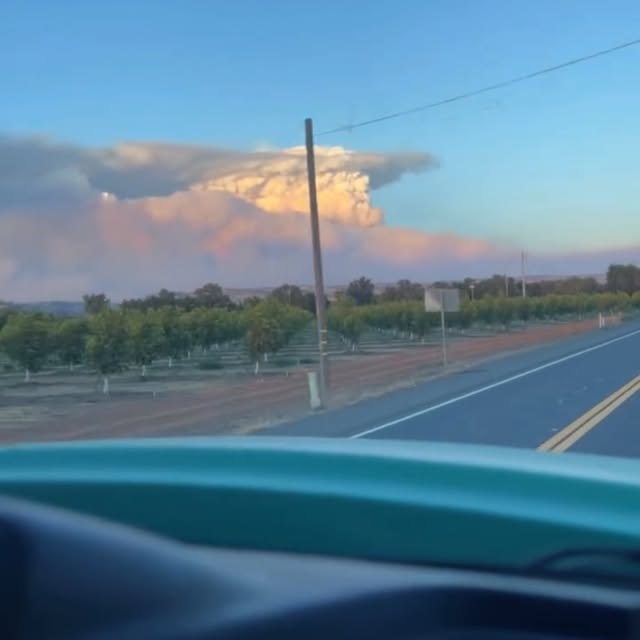 Post by redding_hotshots