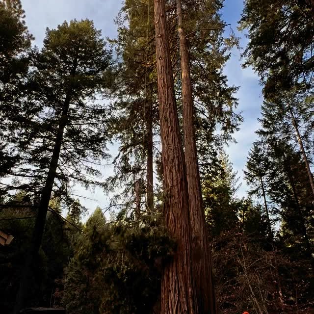 Post by urlocallumberjill