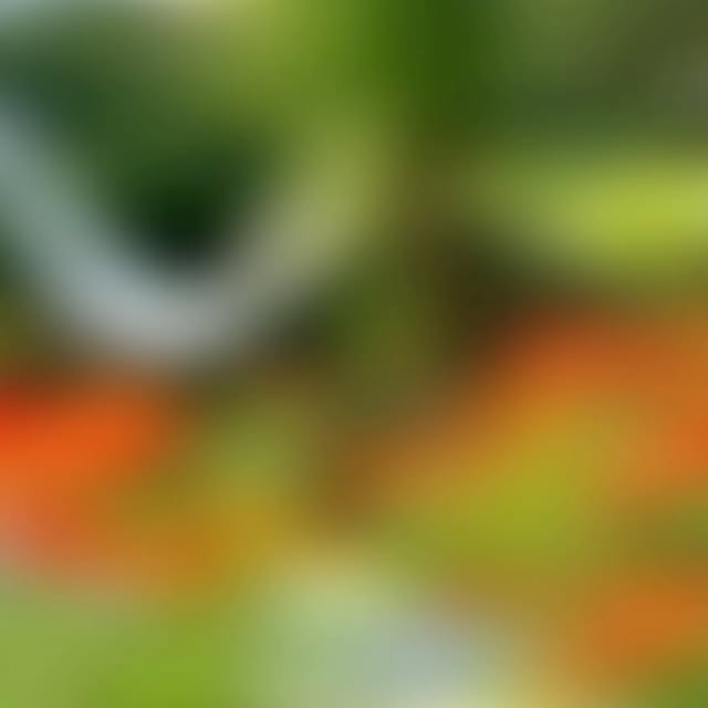 Post by greencube_design