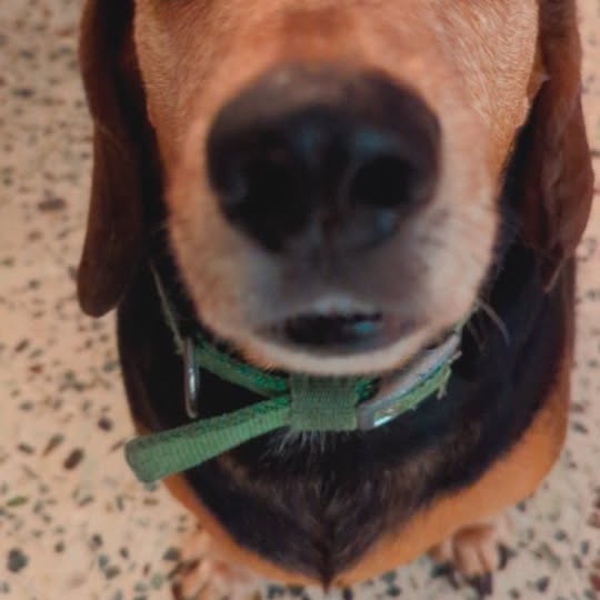 Post by prajanyaanand