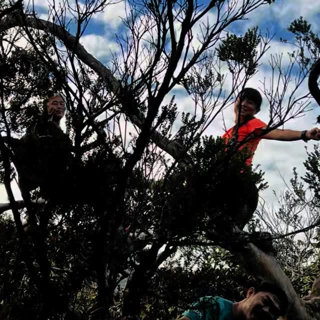 Post by zhuzhu_swazeny